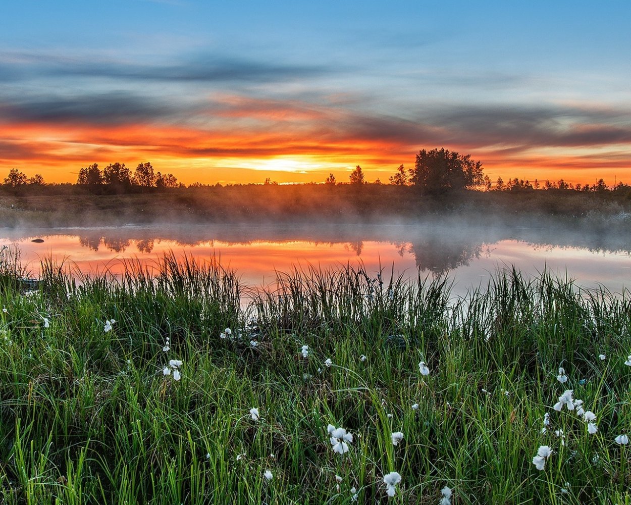 Альпийские Луга красная Поляна
