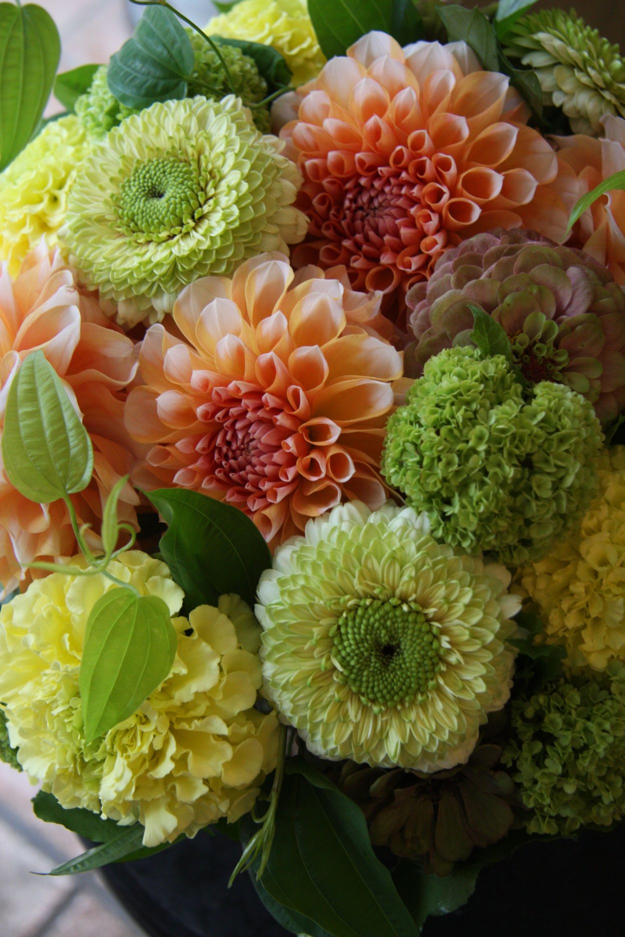 Цинии и георгины