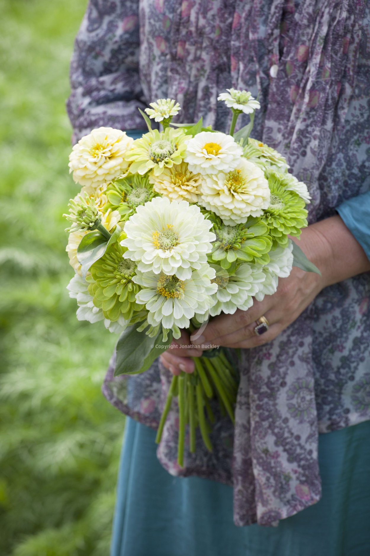 Циния Букетная