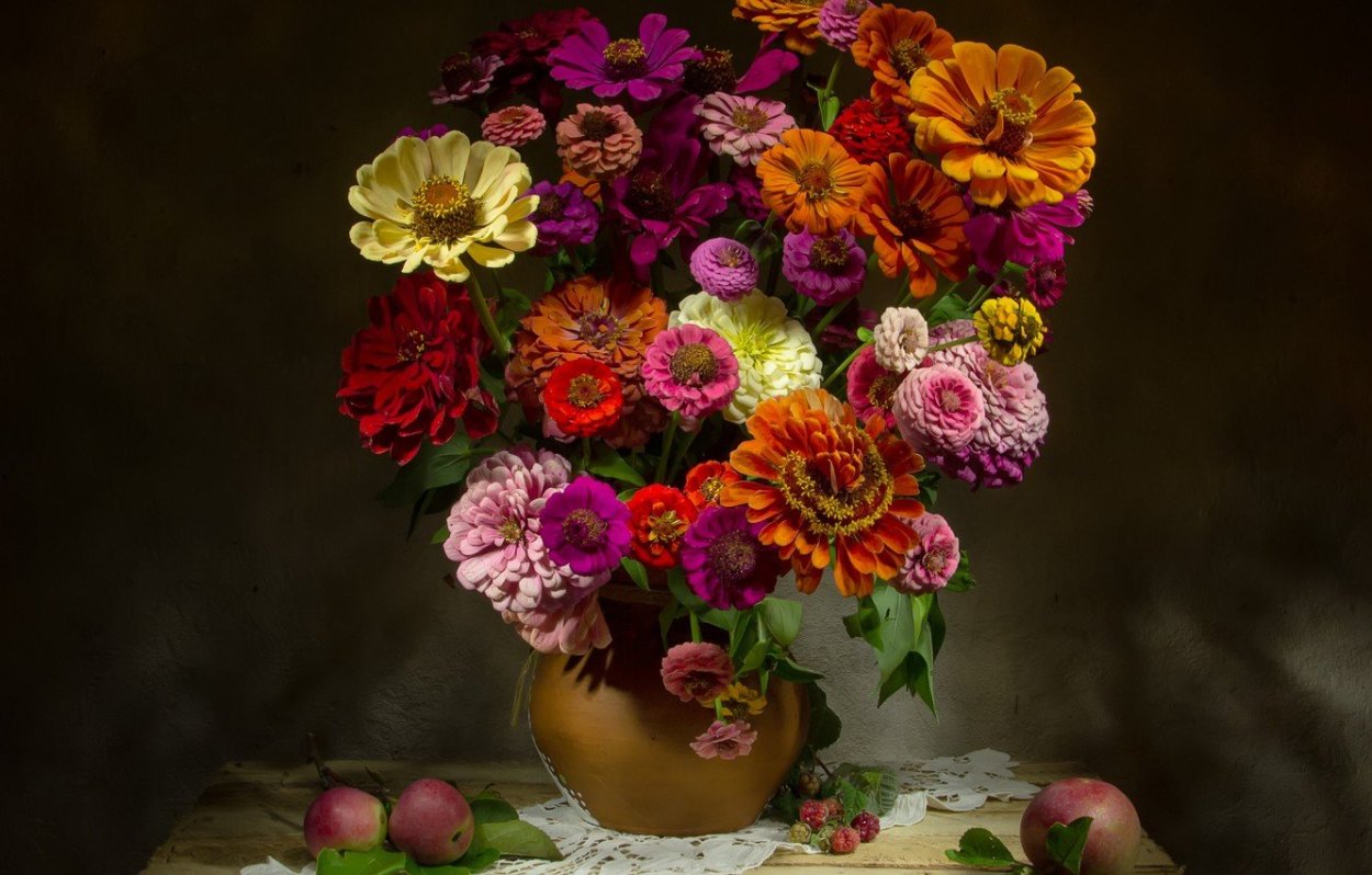 Цинния оранжевая натюрморт