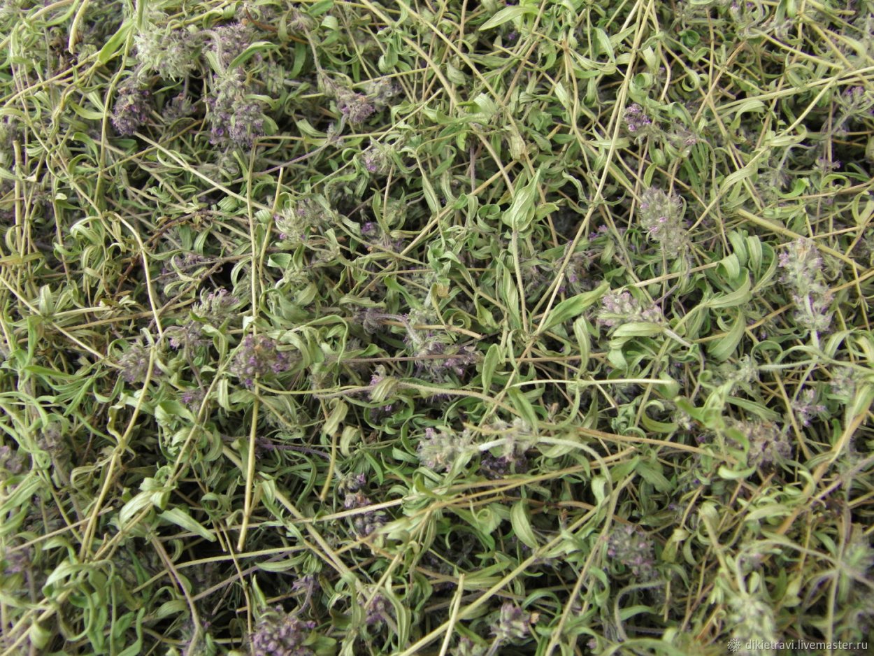 Чабрец трава сухая