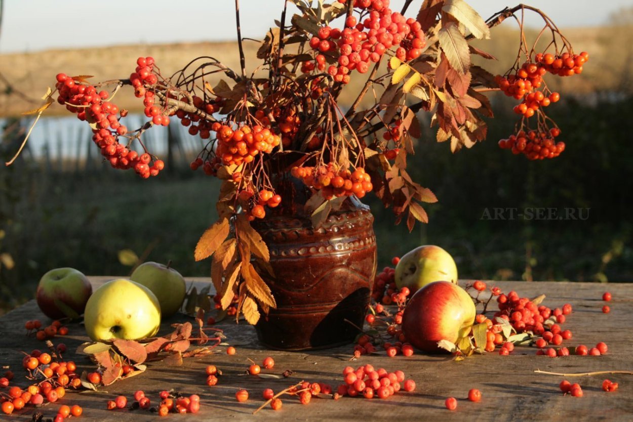 Осенние листья для детского сада