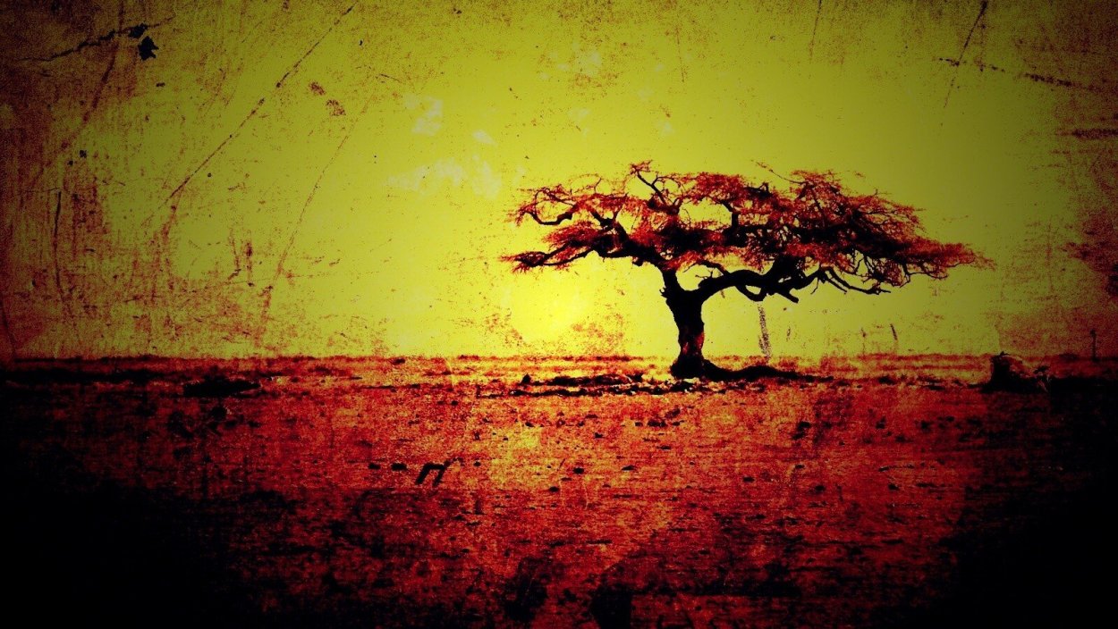 Смола Анчара