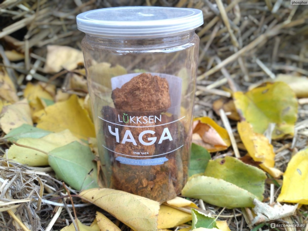 Чага молотая Берёзовая ( чай ) 100г