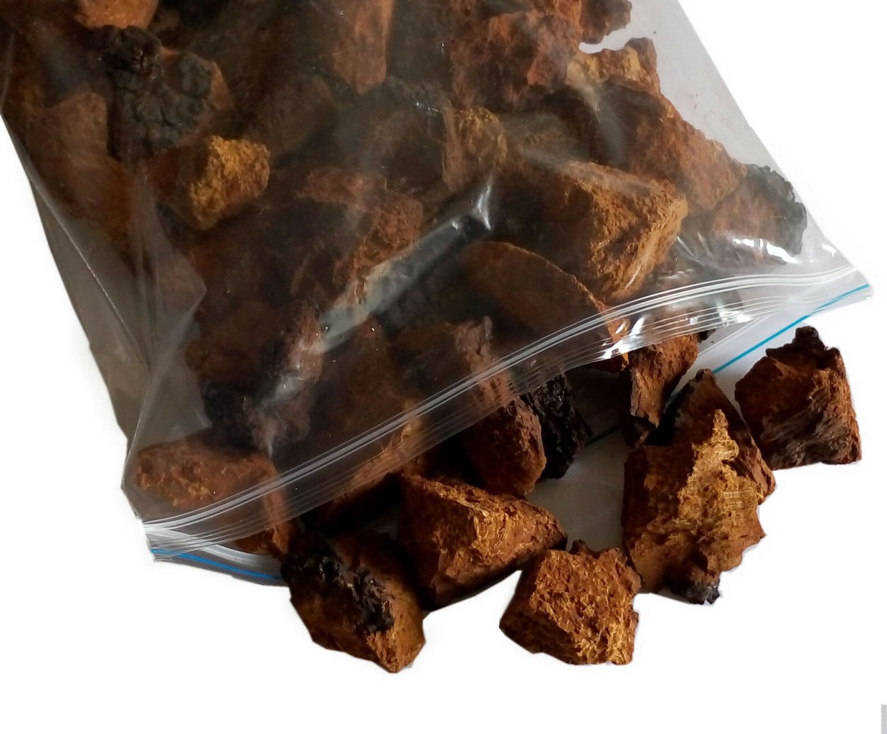 Чага (березовый гриб)