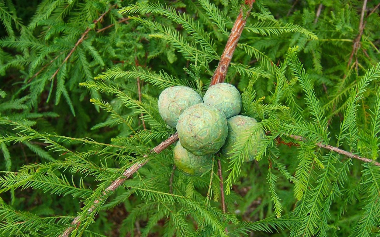 Озеро Сукко в Анапе