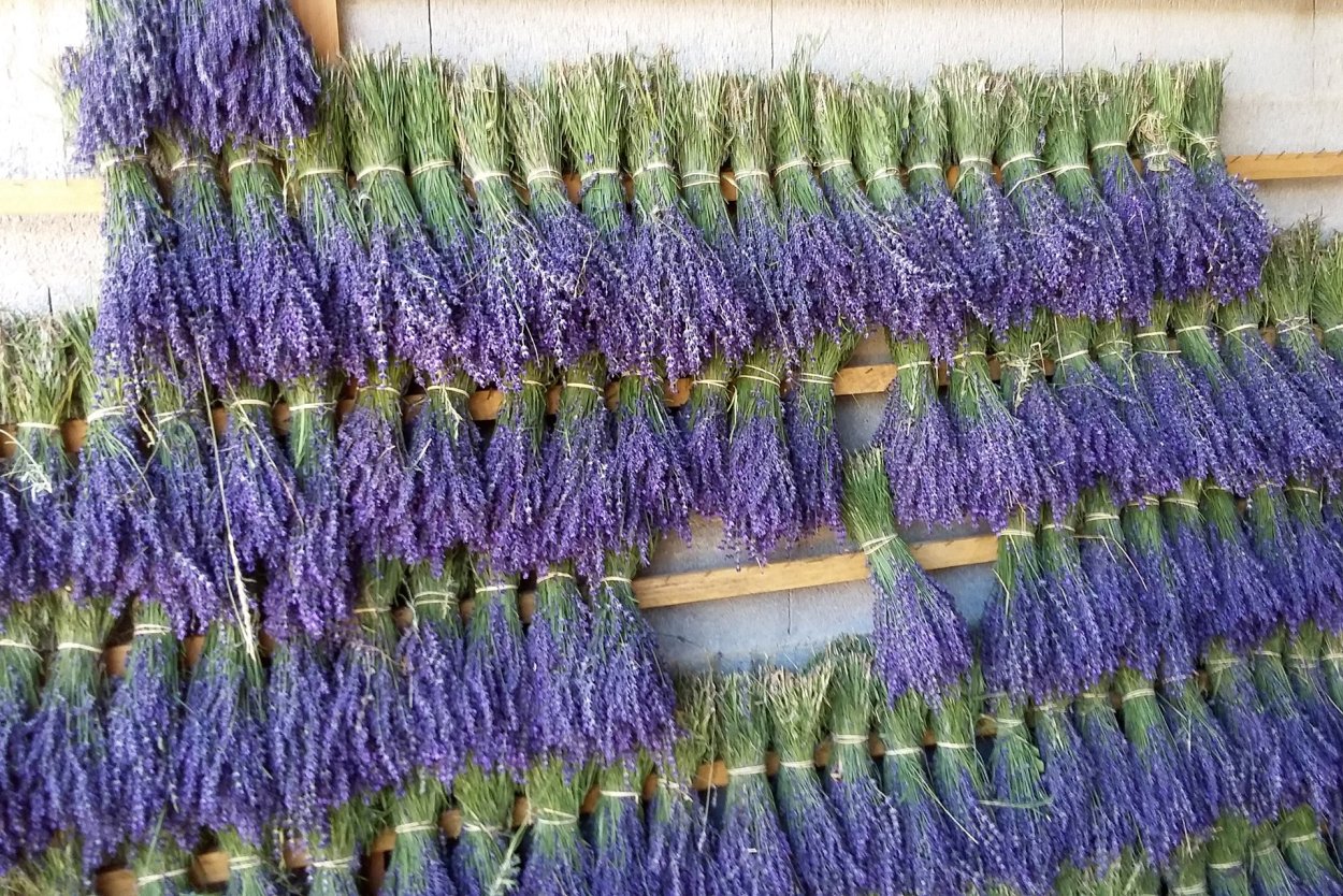 Лавандин букет