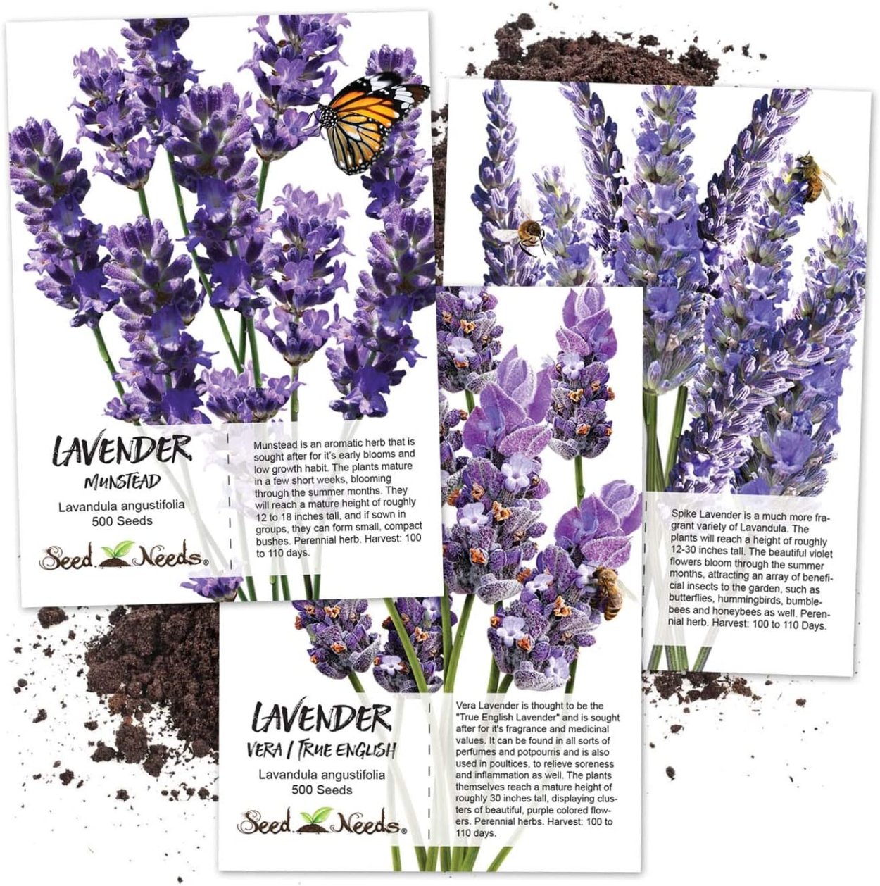 Лавандин и Лаванда разница