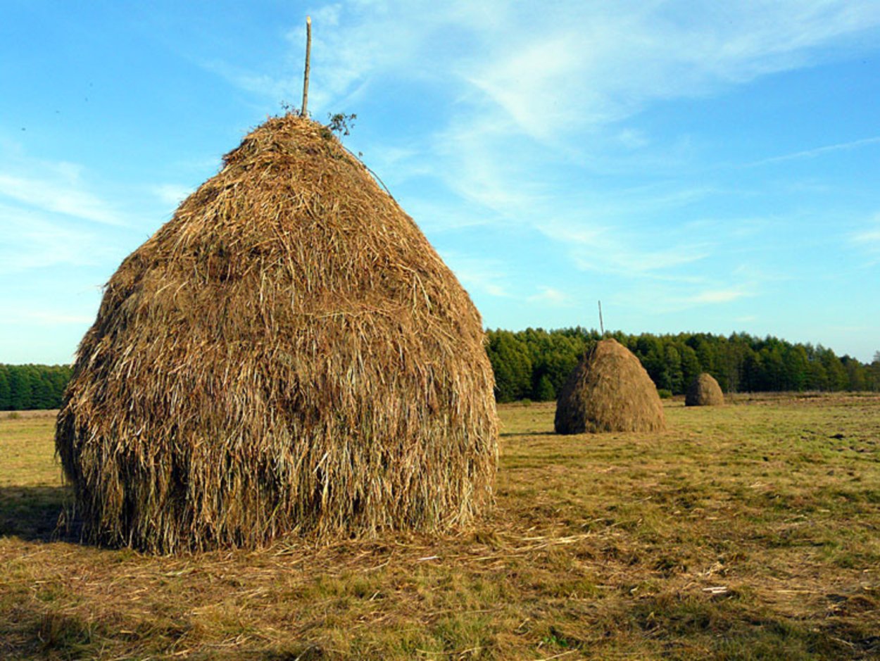 Калязин. Скирда. Стог.