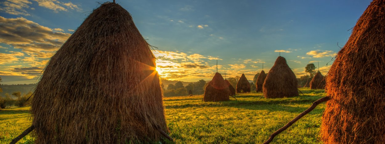 Стога на поле осенью