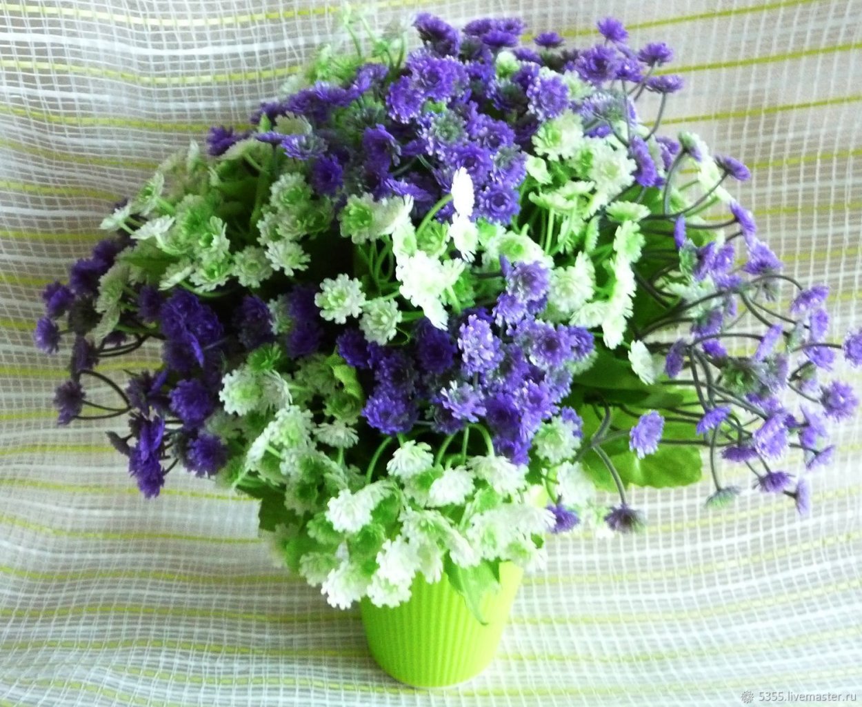 Агератум и бархатцы вместе