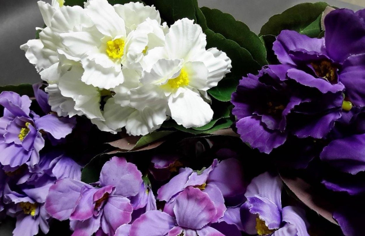 Фиалка агат розовый