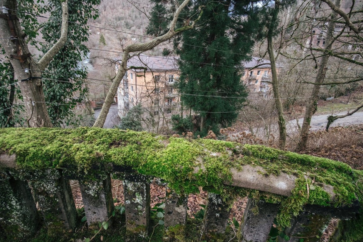 Япония. Долина гортензий.