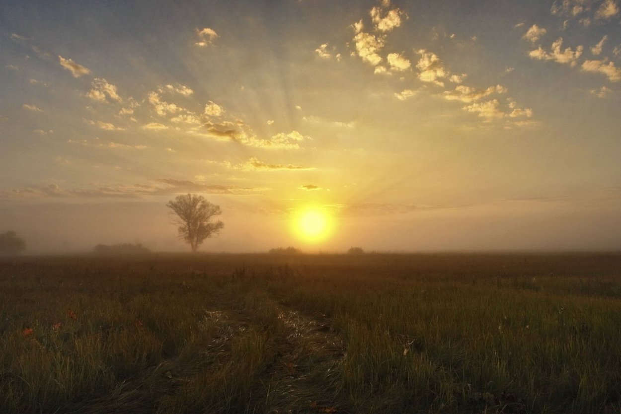 Закат в поле