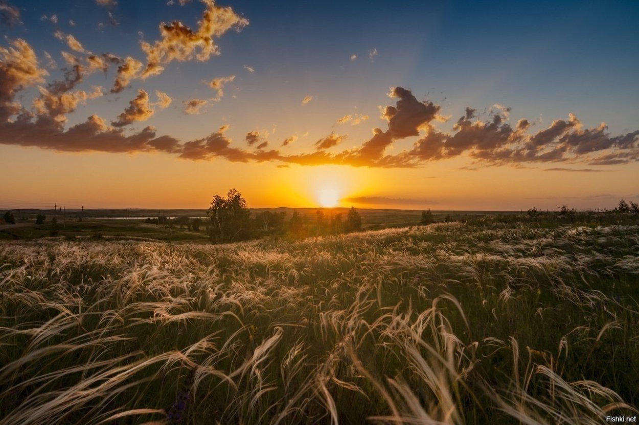 Степью Ковыльной Оренбург