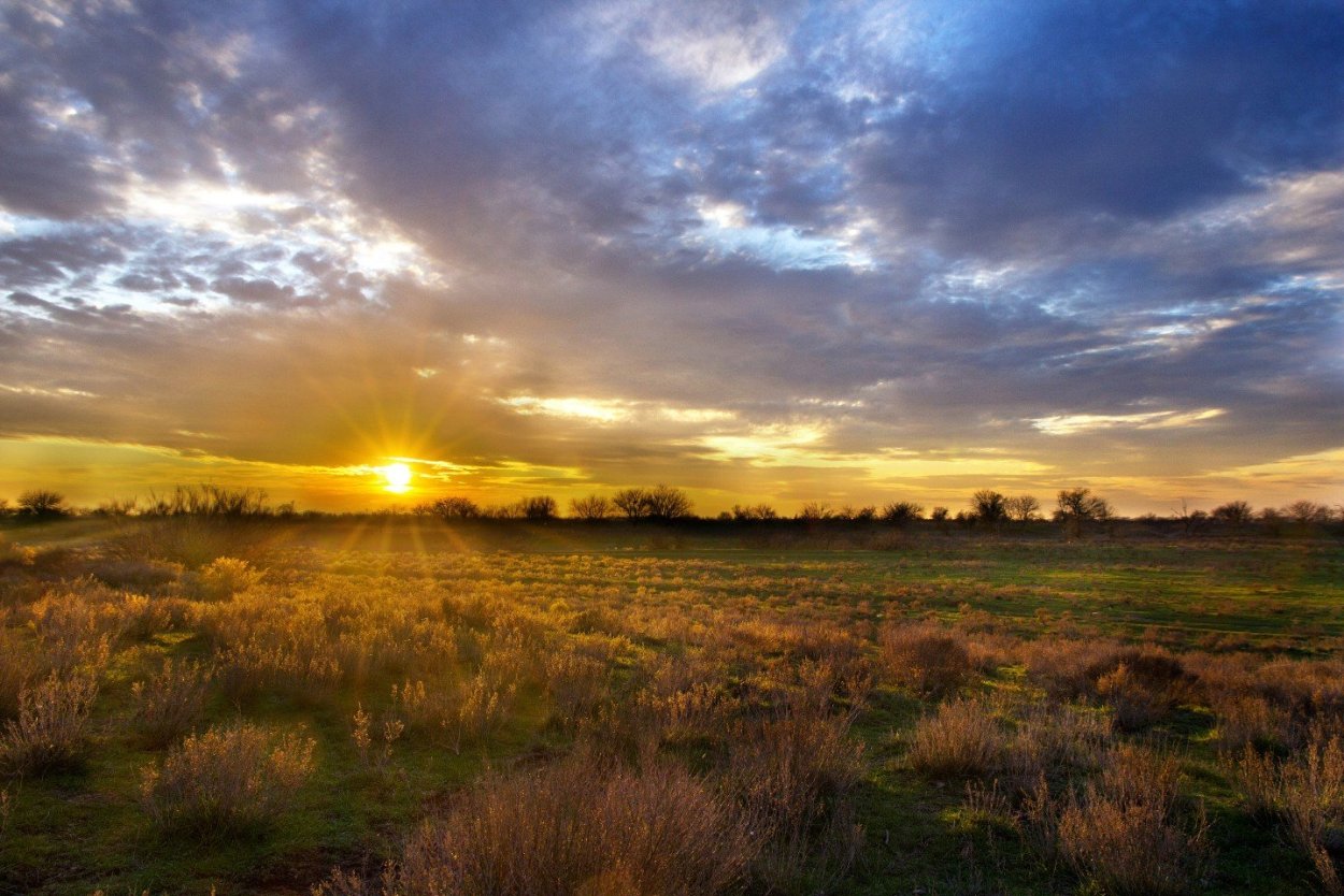 Степь вечером