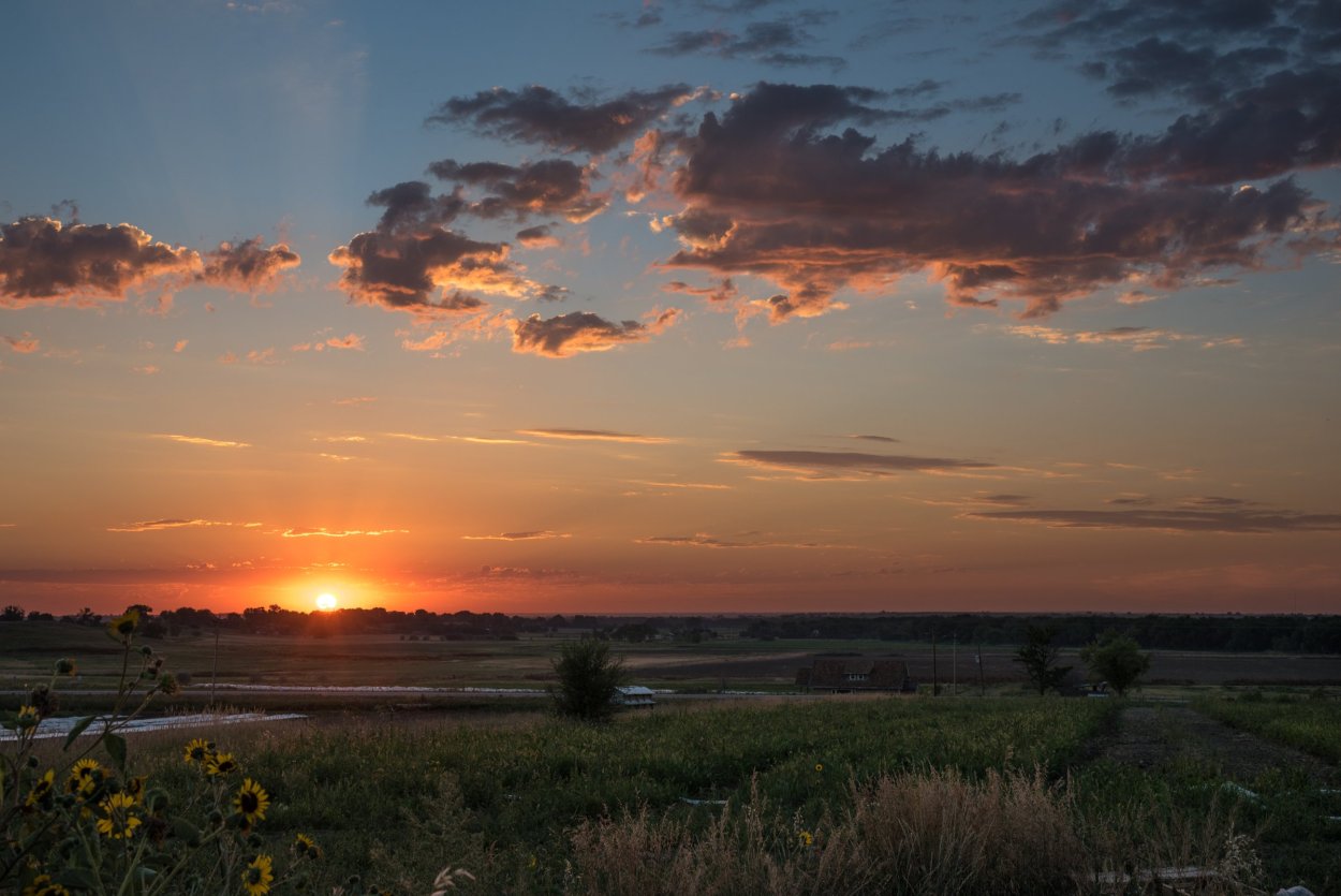 Закат в степи