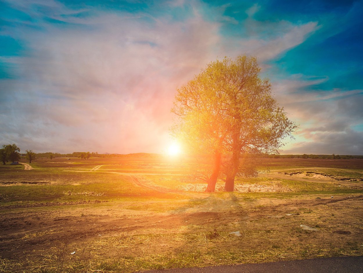 Закат в степи Казахстана