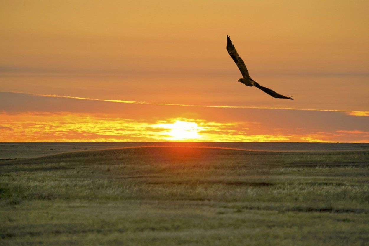 Степной закат