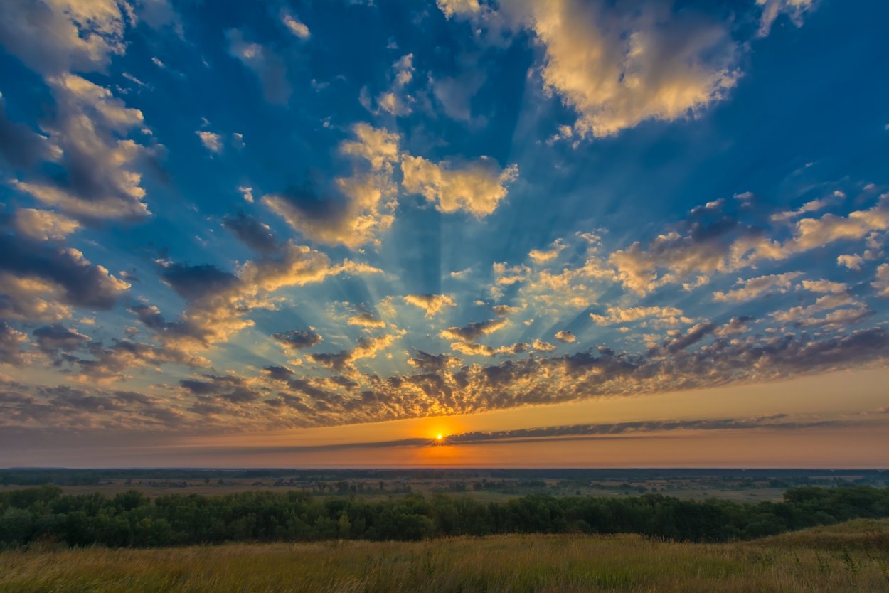 Поля Оренбуржья