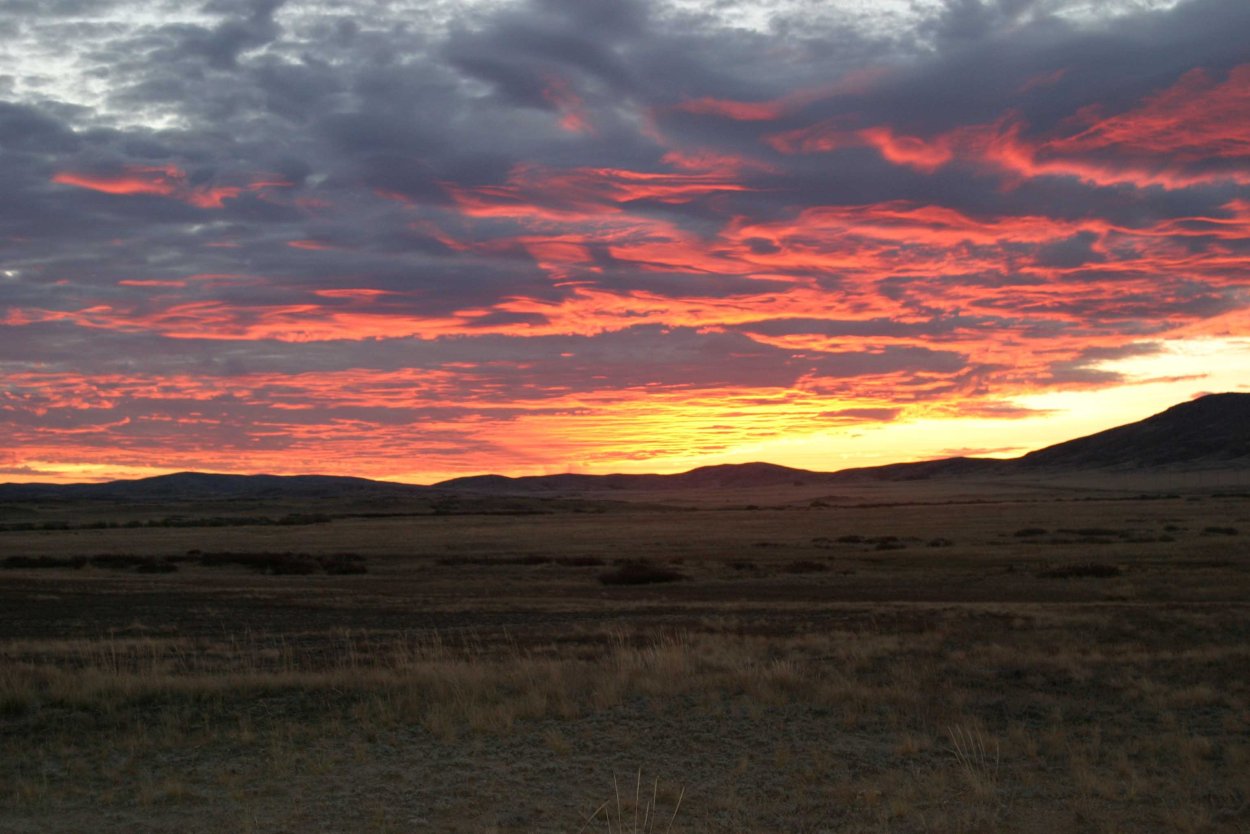 Волжские степи