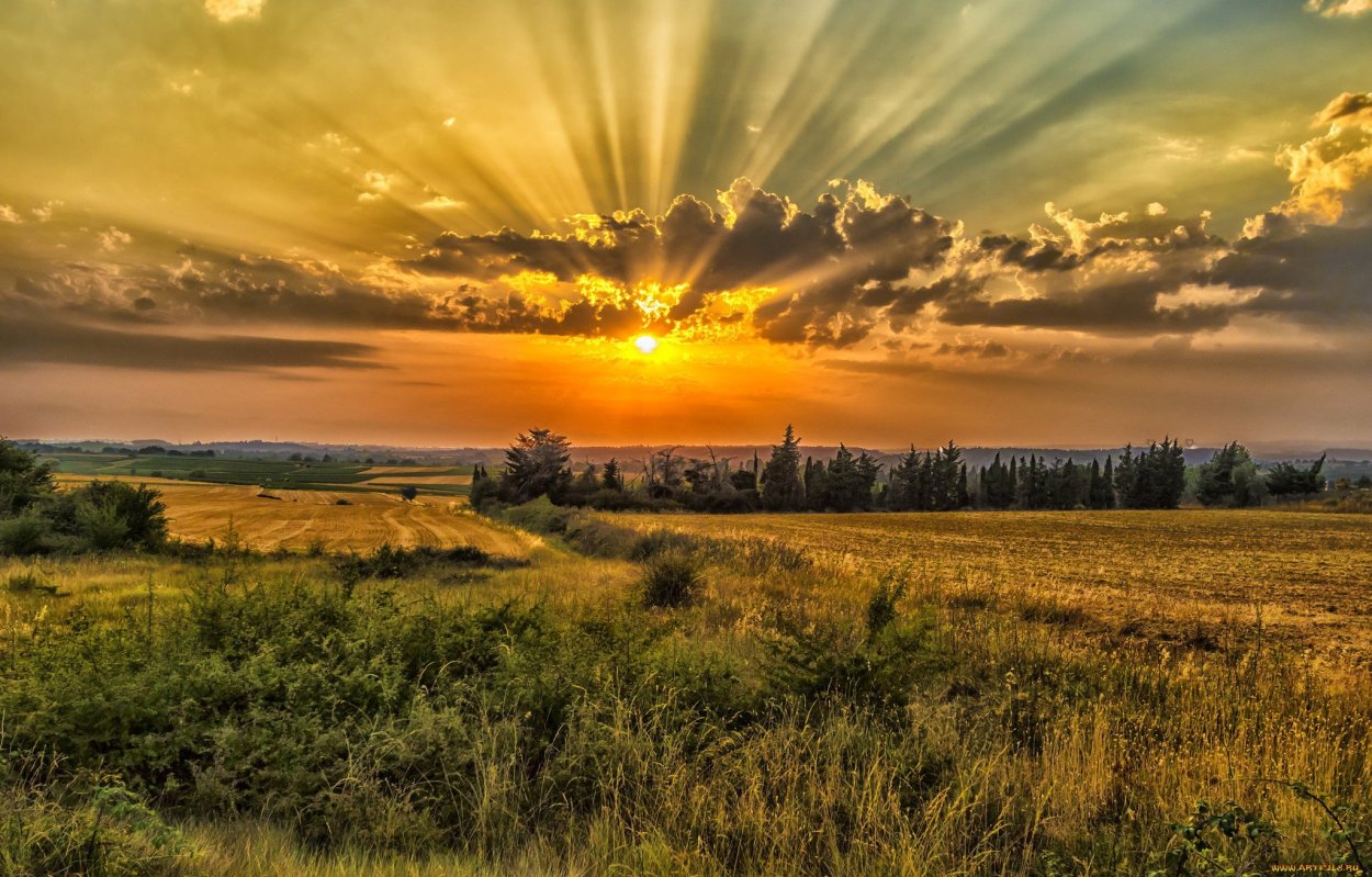 Закат в степи