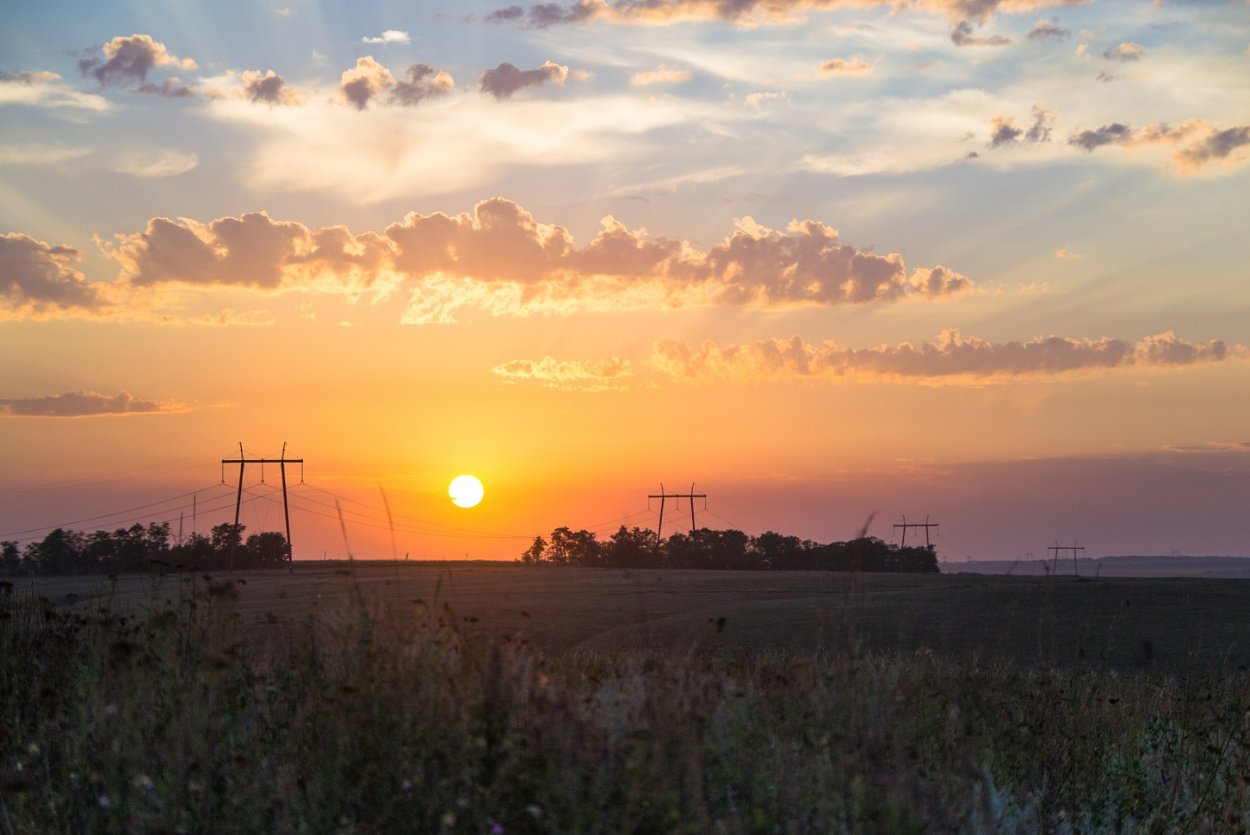 Рассвет в поле