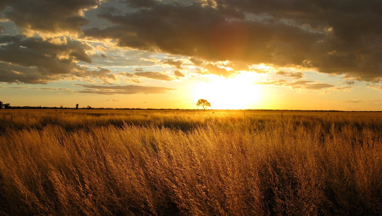 Деревня Платошино Пермский край