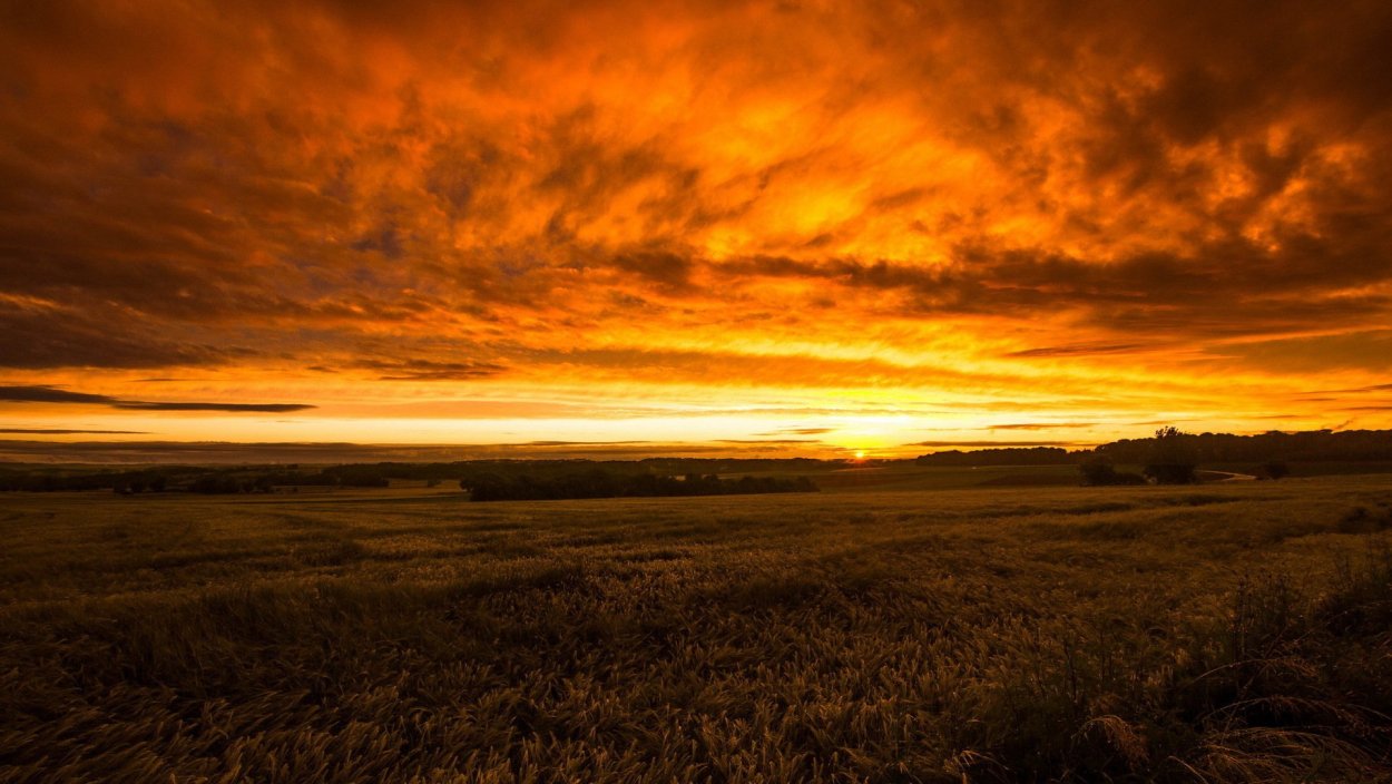 Рассвет в степи