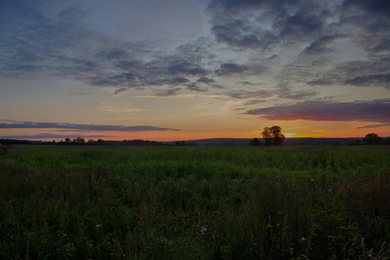 Восход в степи