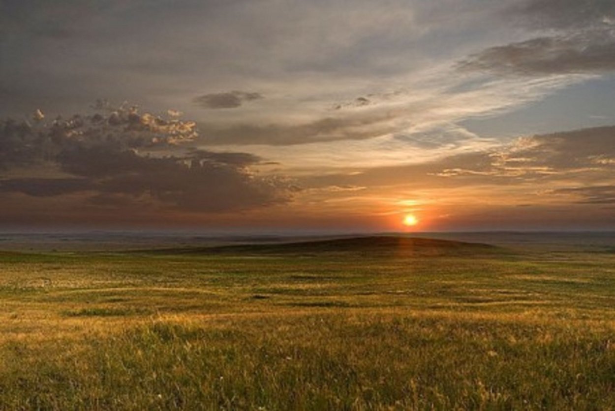 Фон закат в степи