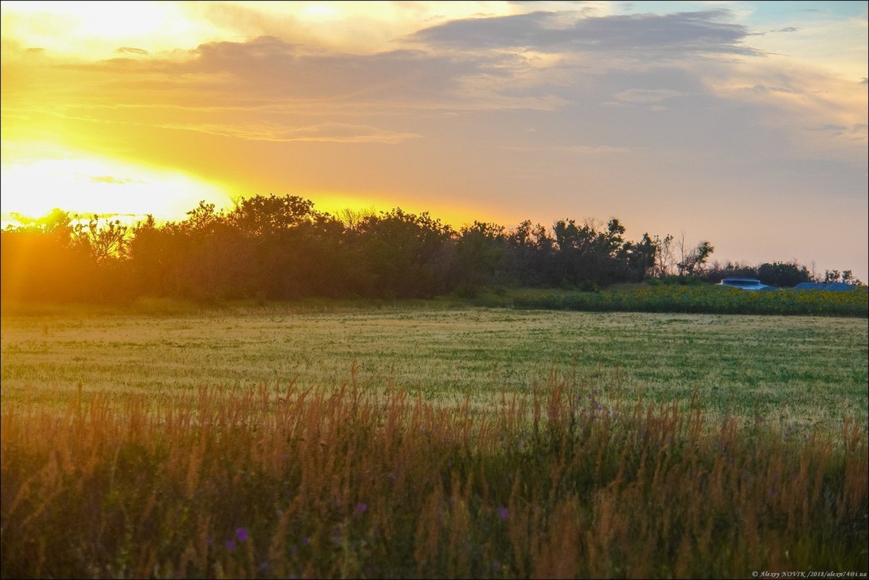 Рассвет в степи