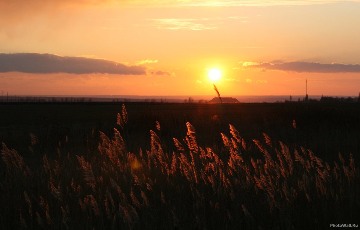 Закат солнца в поле