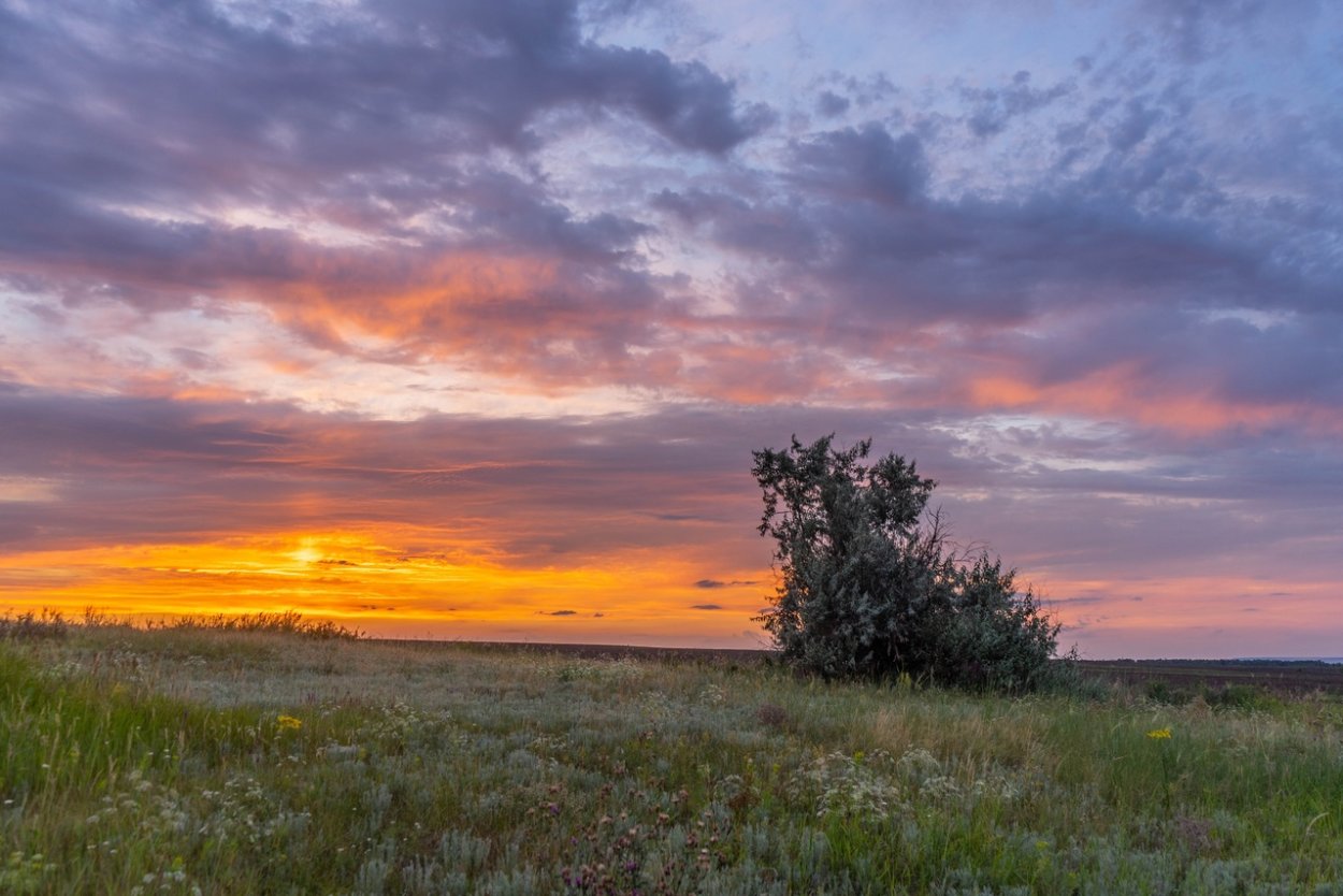 Саратовские степи