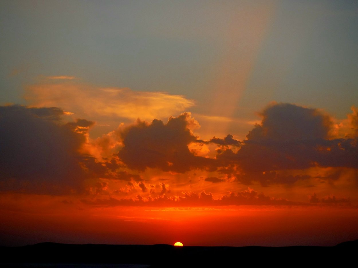 Солнце в степи