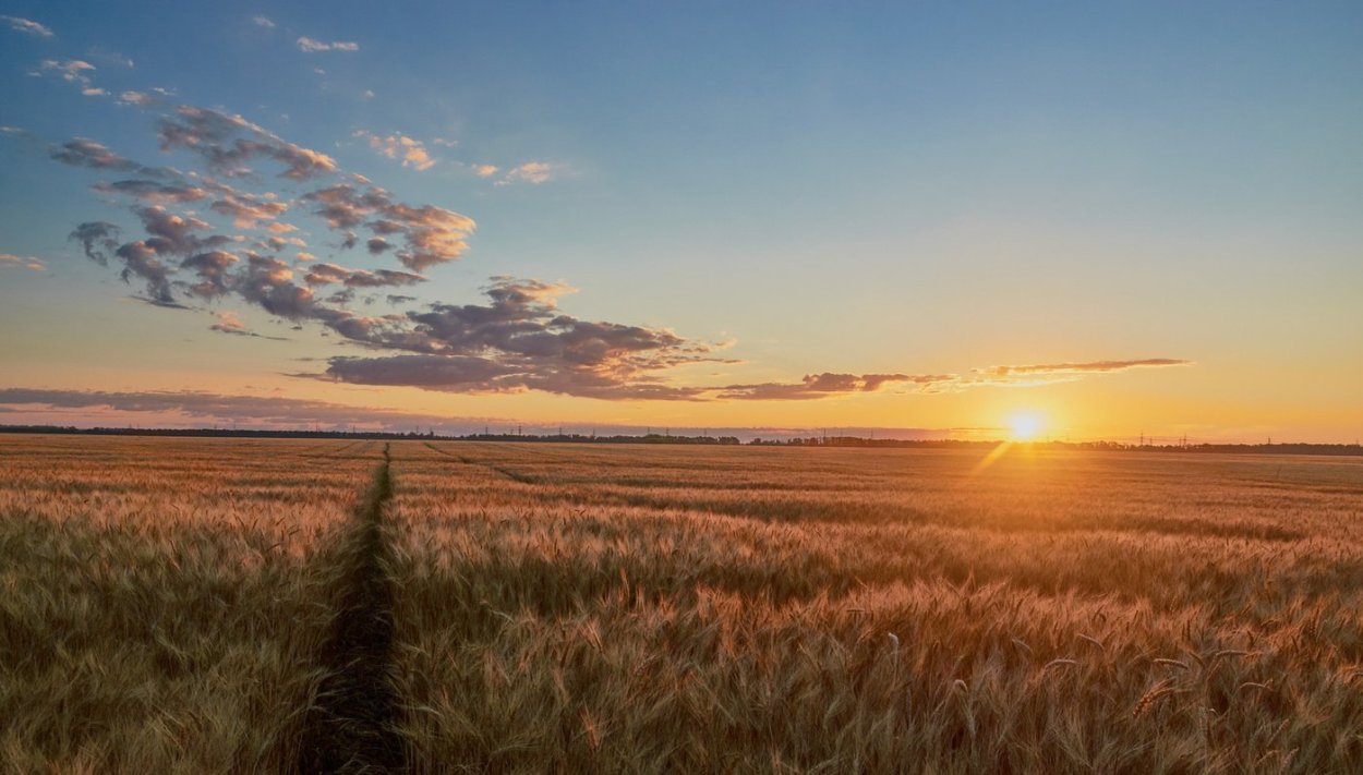 Красивый закат в деревне