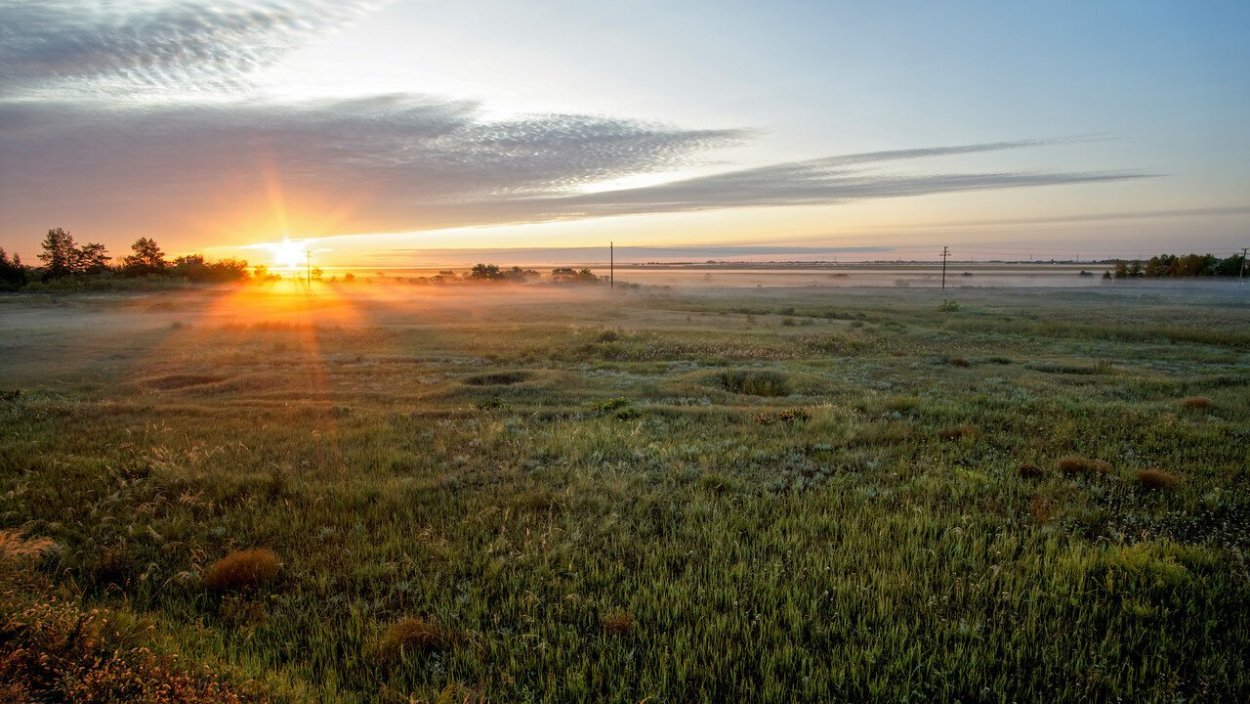 Солнечное поле