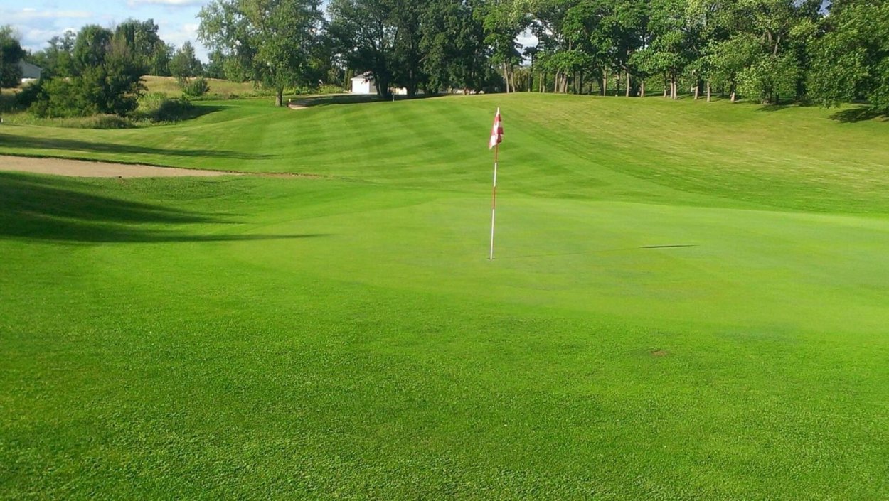 Лесной ландшафт