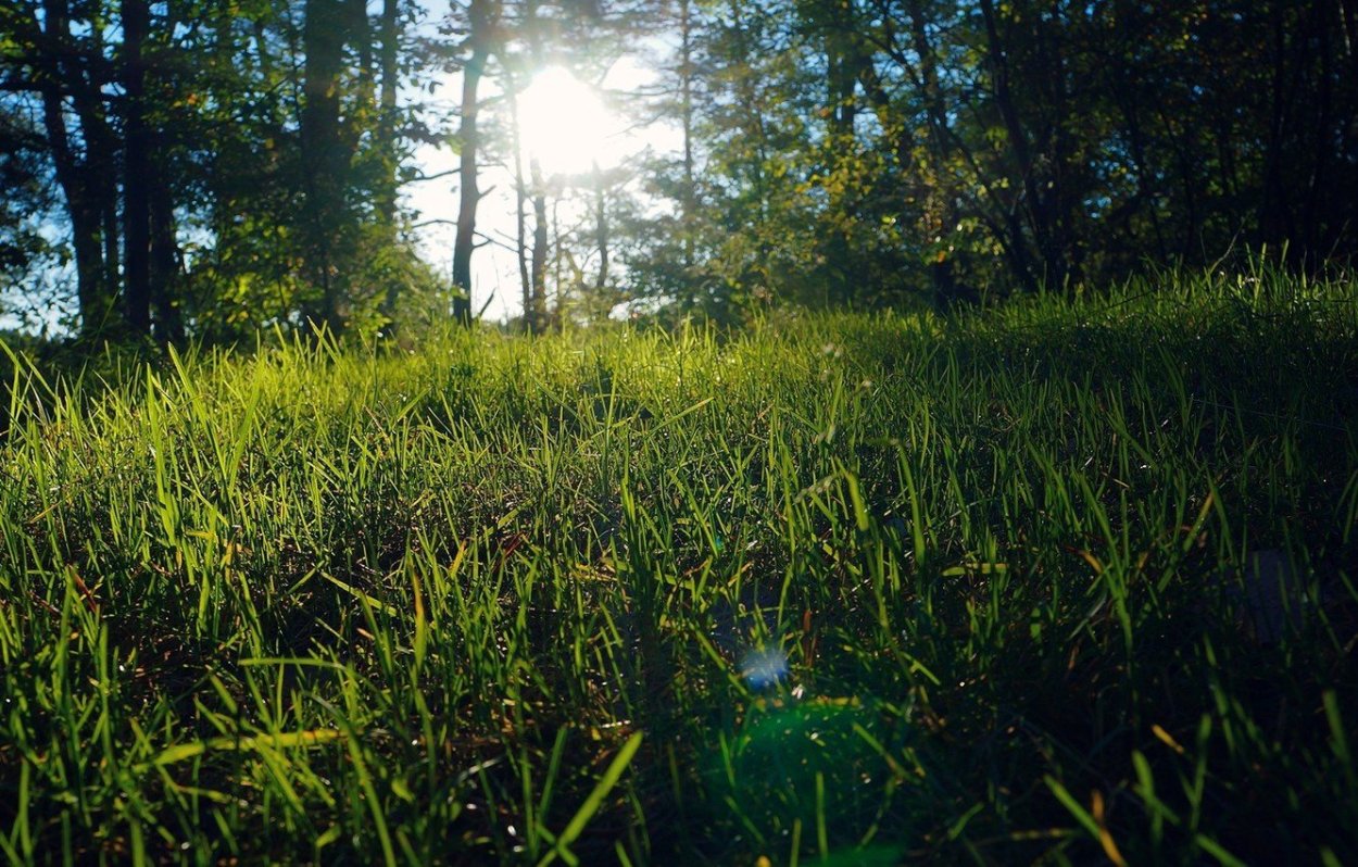 Лето в городе