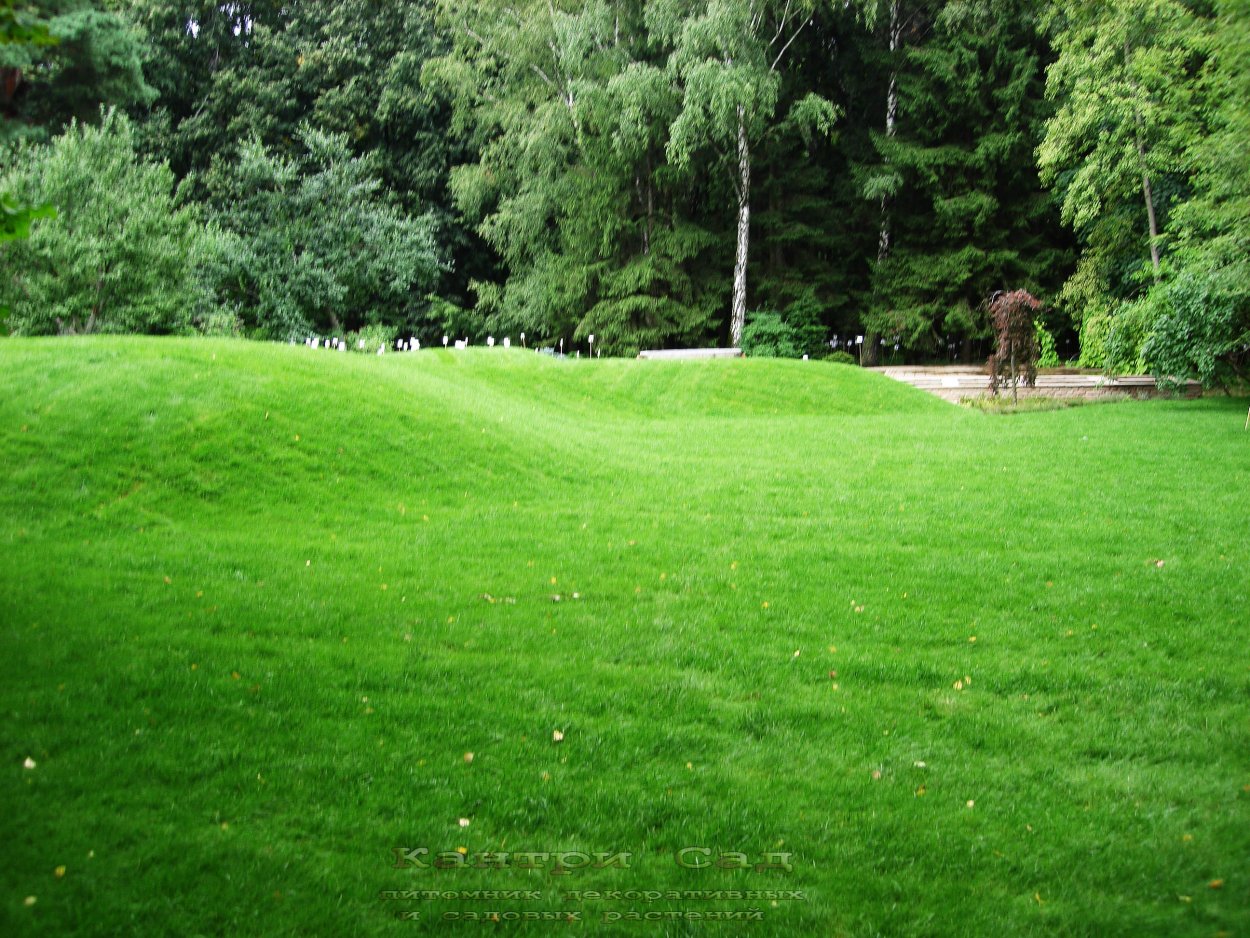 Подвесное кресло gusto Brown