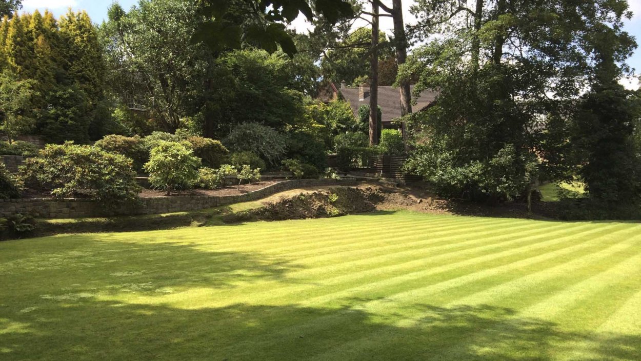 Газон в США