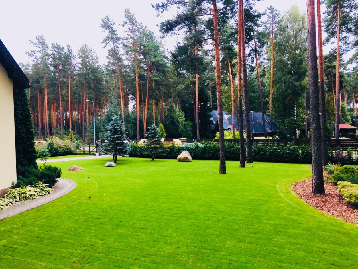 Темная трава