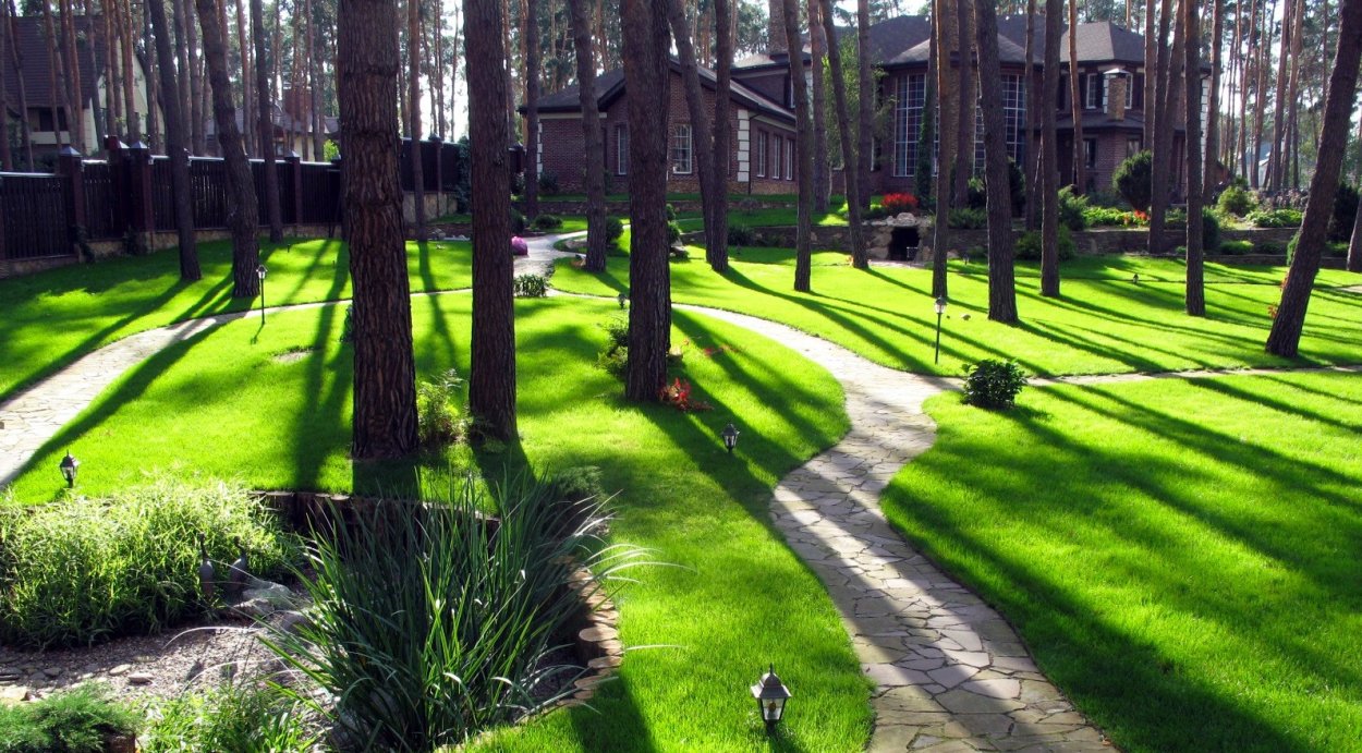 Лужайка в саду