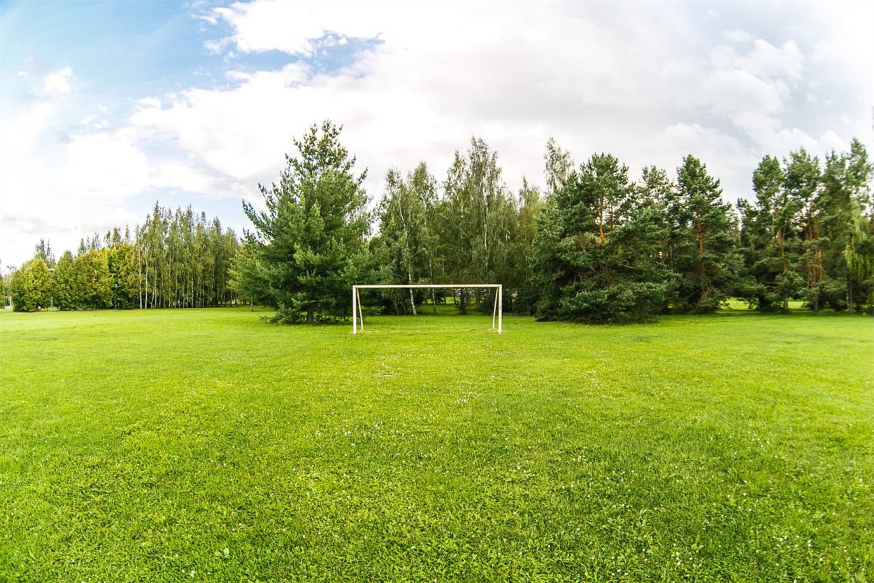 Футбольное поле в лесу