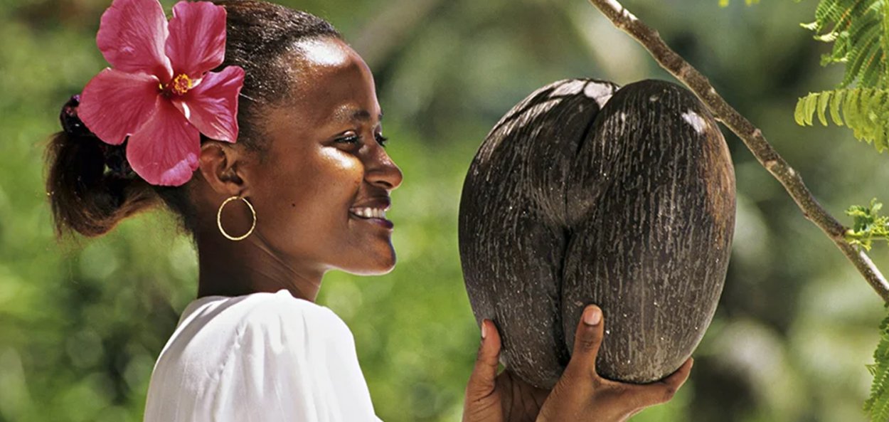 Морской Кокос Коко-де-мер