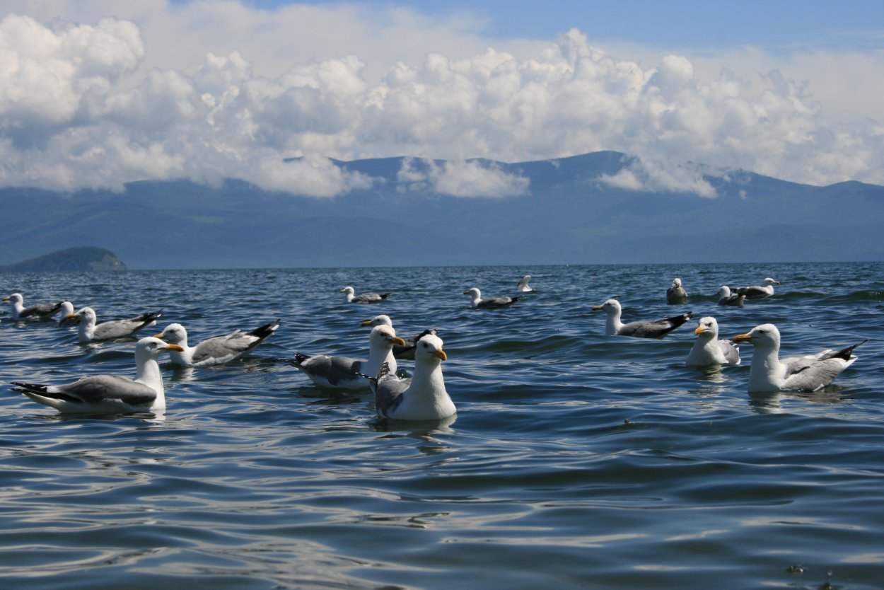 Озеро Байкал Чивыркуйский залив