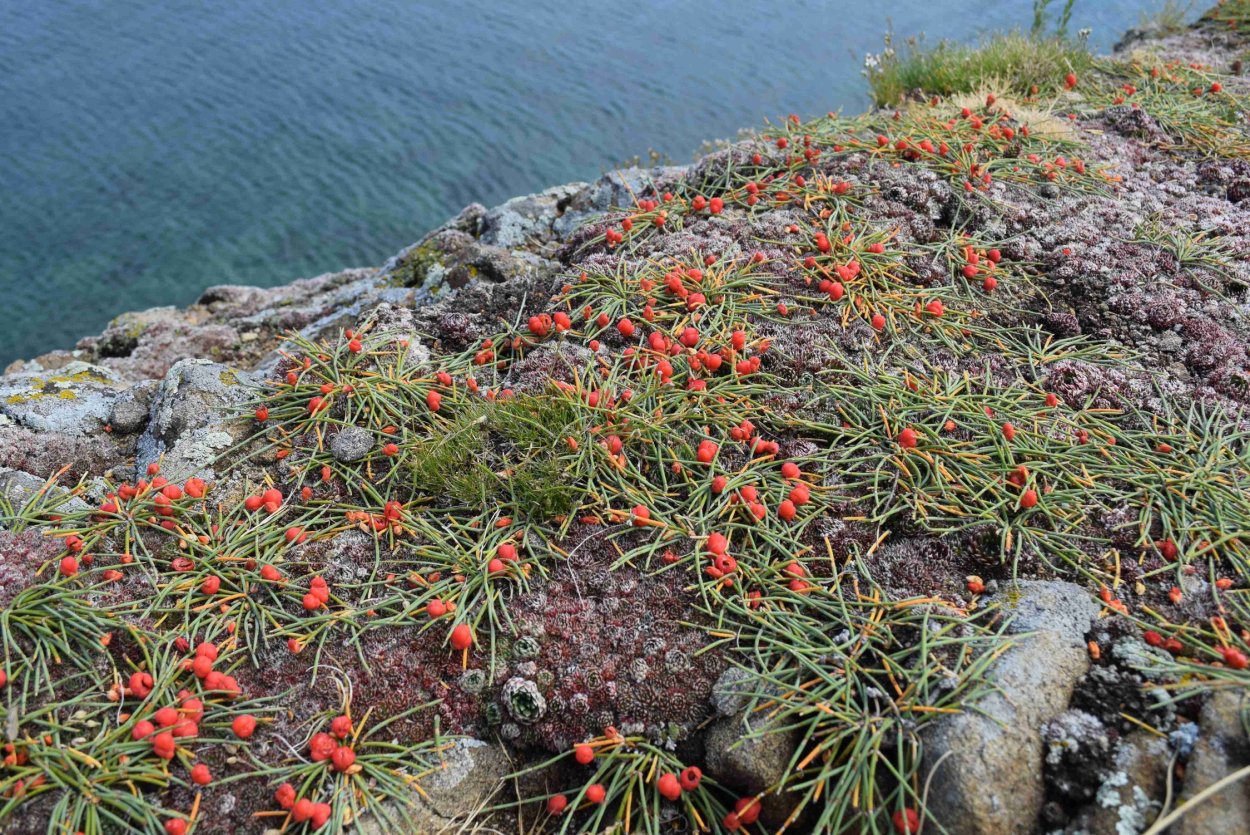 Байкало-Ленский заповедник