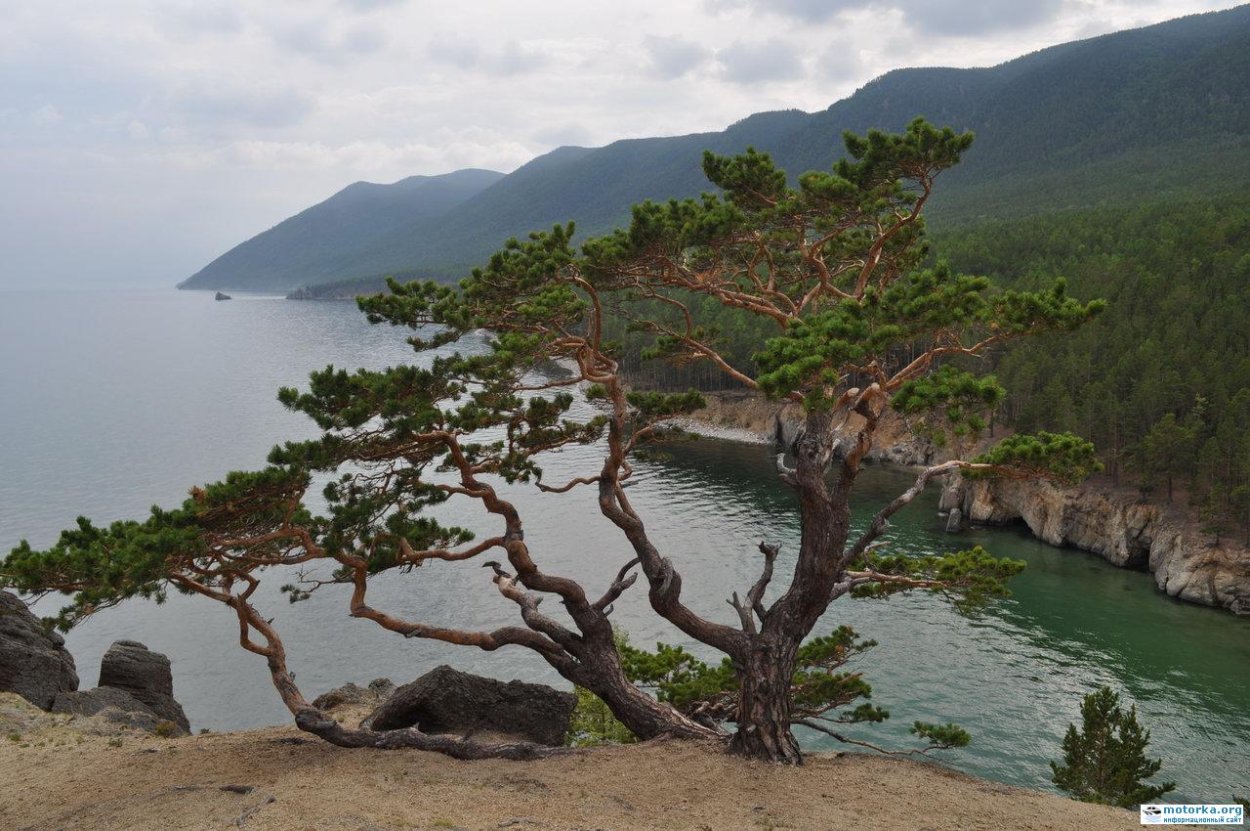 Байкало-Ленский заповедник