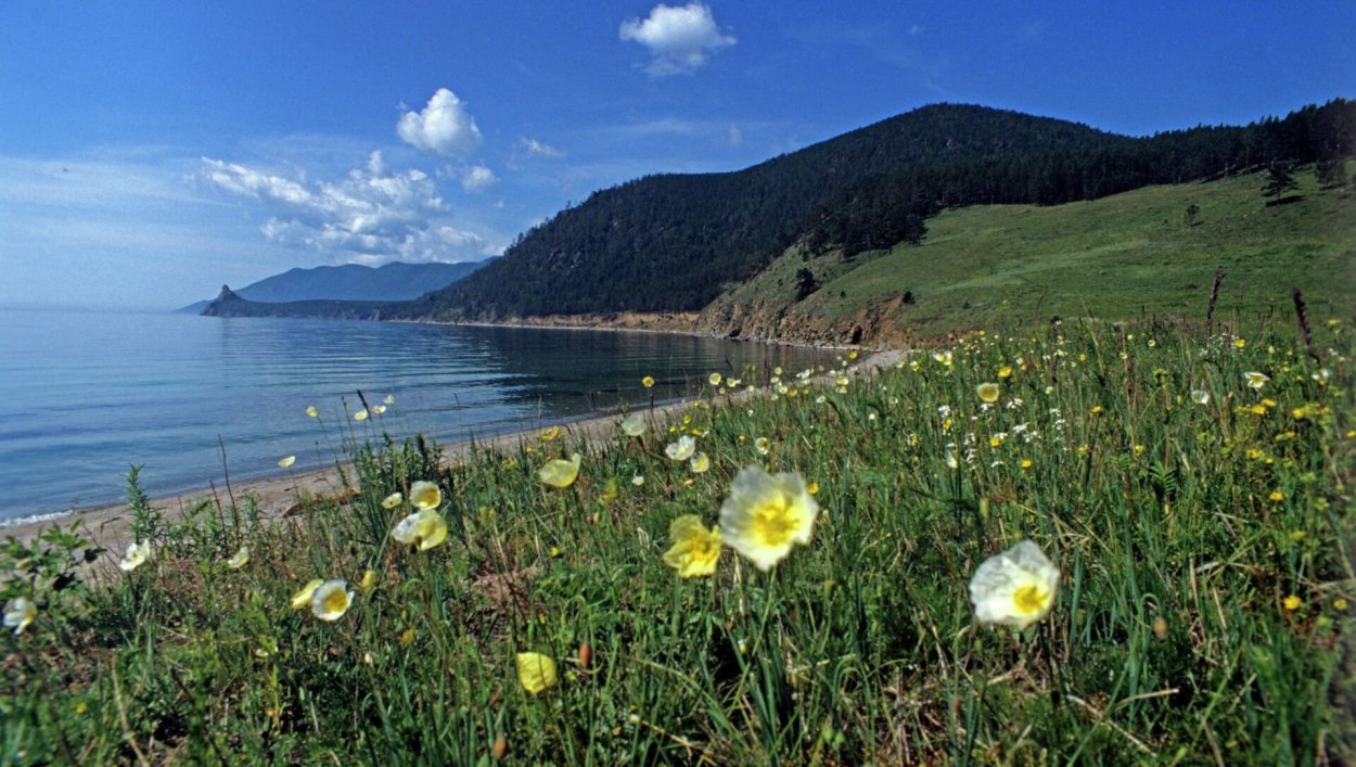 Тигирекский заповедник Алтайского края животные
