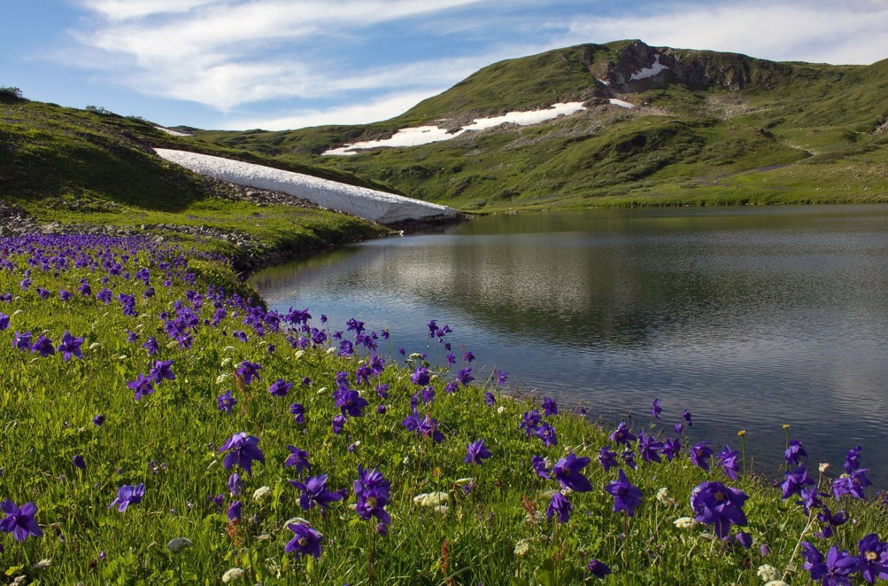 Флора и фауна озера Байкал